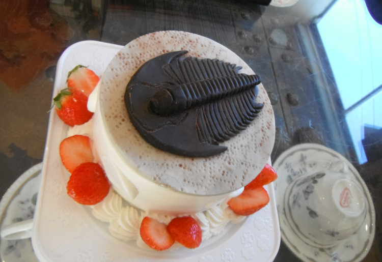 チョコクラフトケーキ