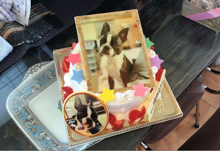 愛犬ケーキ　プリンター