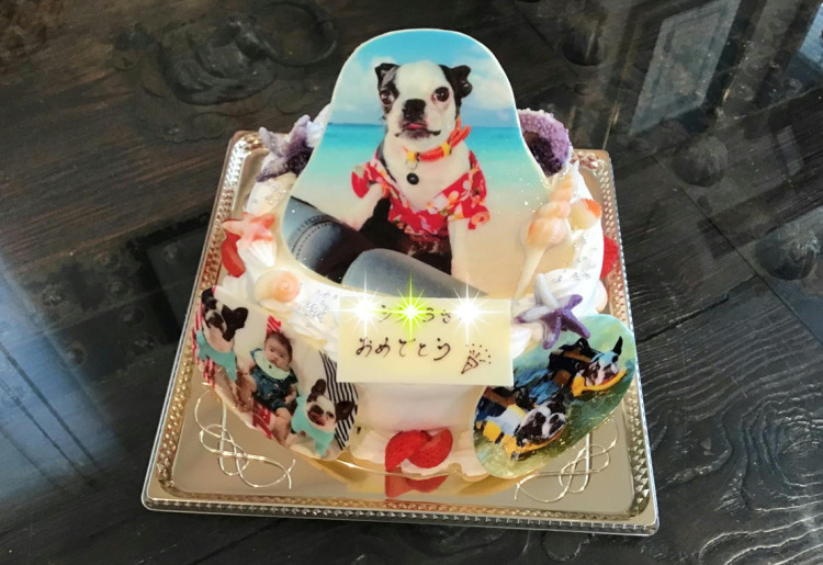 愛犬写真ケーキに赤ちゃんが加わりました
