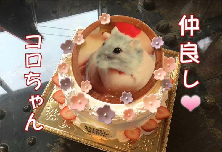  特別注文ケーキ写真