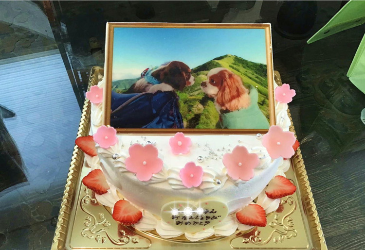 プリントケーキ