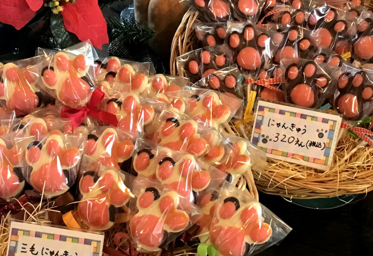にゃんきゅう