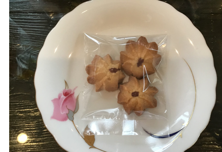 サブレポッシュ