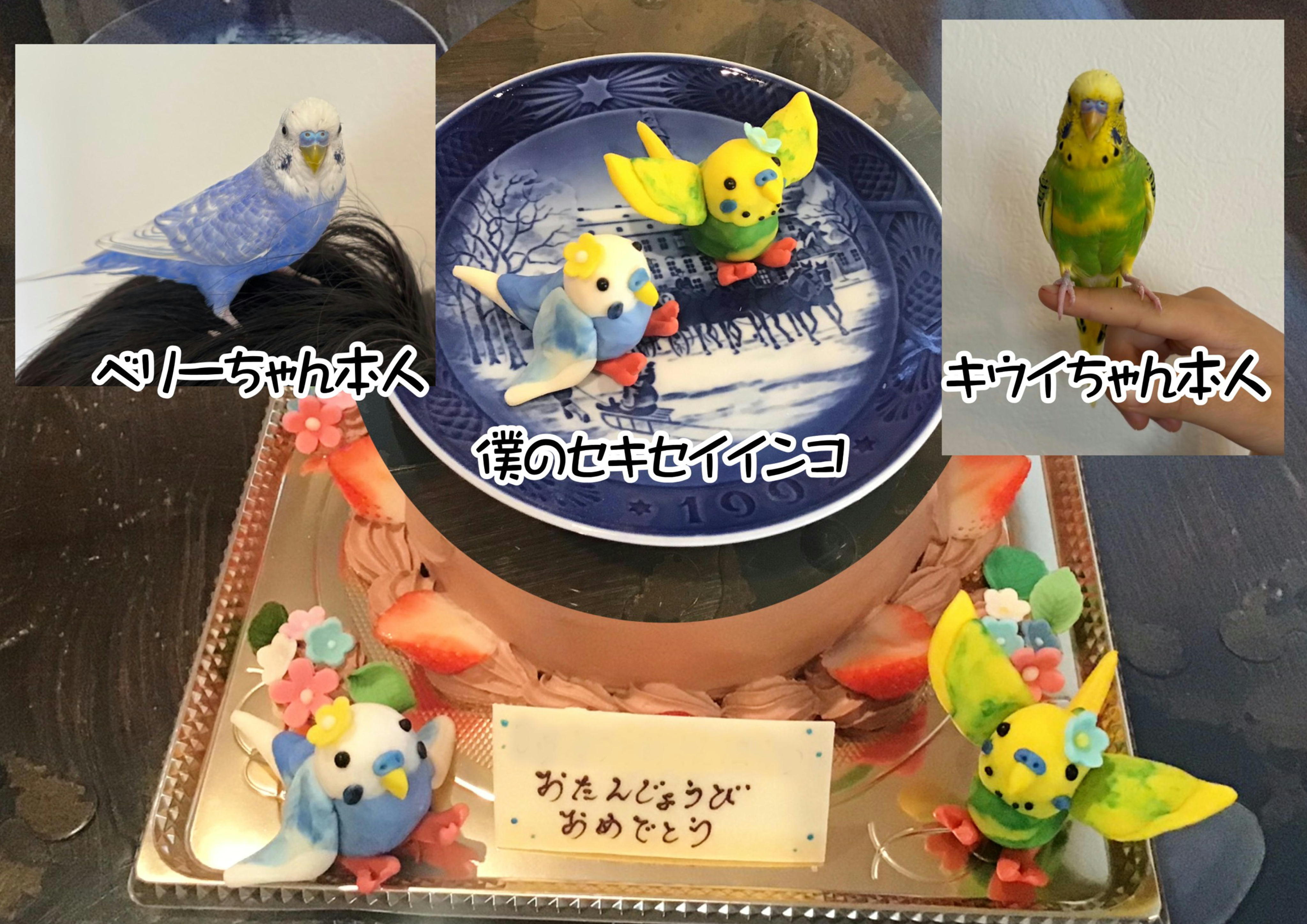 香川県ケーキ　高松市ケーキ　グレースケーキ　バースデーケーキ　チョコ人形ケーキ　セキセイインコケーキ　ベリーちゃんとキウイちゃん　小鳥ケーキ　旅色ケーキ　ｈｐ